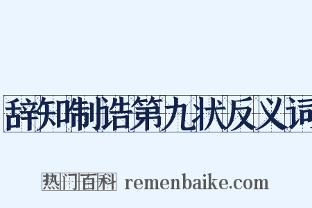 辞知制诰第九状反义词是什么意思的图片